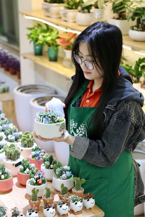 Bộ sưu tập cây cảnh mini độc đáo tại Susu Garden