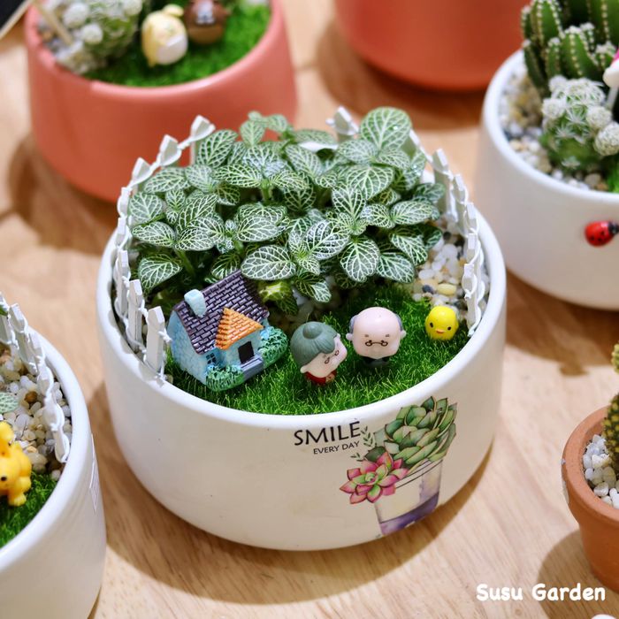 Khám phá vẻ đẹp xanh mát tại Susu Garden qua hình ảnh ấn tượng