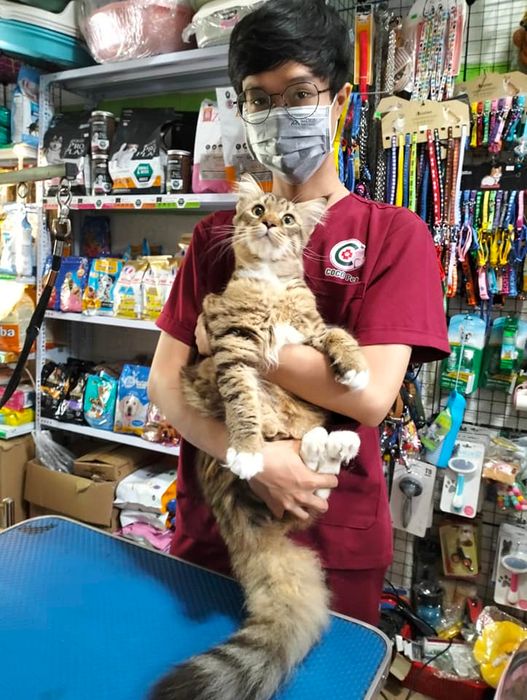 Ảnh Phòng khám thú y CoCo Pet (1)