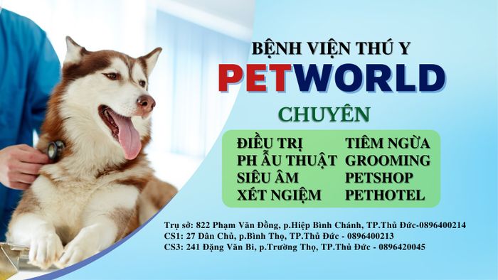 Ảnh Bệnh viện thú y Pet World (1)