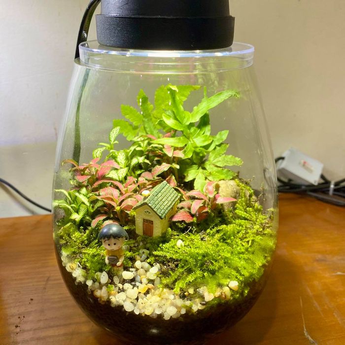 Không gian sáng tạo đầy cảm hứng tại Mini Trees