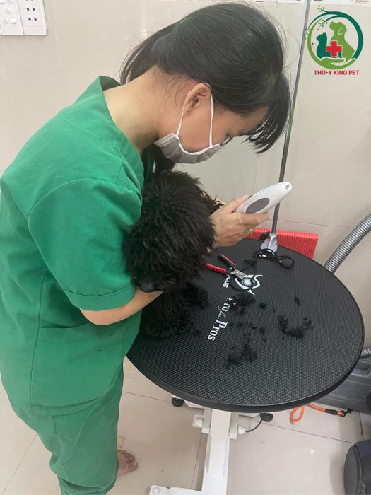 Ảnh Phòng Khám Thú Y King Pet (1)