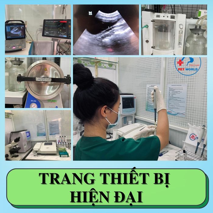 Ảnh Bệnh viện thú y Pet World (2)