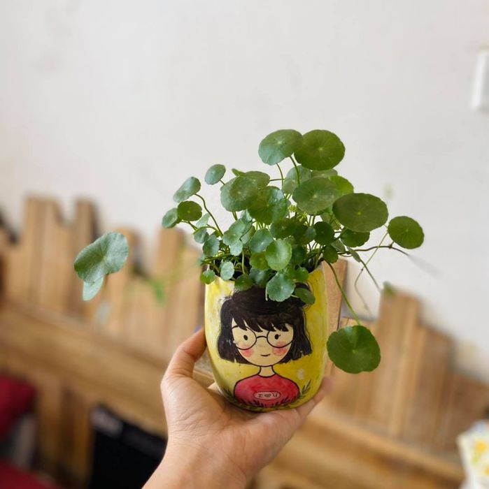 Hình ảnh 2: Bộ sưu tập chậu tự vẽ tay độc bản tại Hoa trong Lá - Nơi nghệ thuật giao hòa cùng thiên nhiên xanh.
