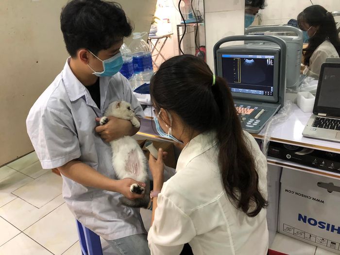 Ảnh Phòng khám thú y CoCo Pet (3)