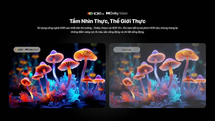 Google Tivi Skyworth 65Q7500G