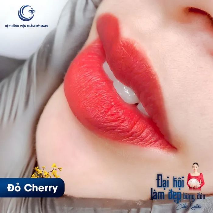 Viện Thẩm Mỹ Mary - Hình ảnh 1