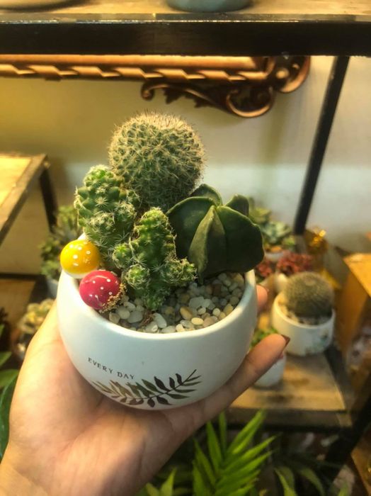 Không gian xanh mát đầy nghệ thuật tại Green Corner