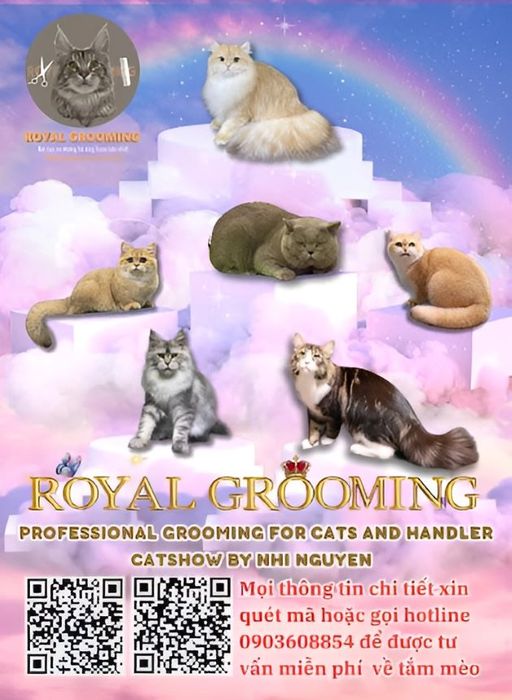 Royal Grooming Spa – Nơi chăm sóc hoàn hảo cho thú cưng của bạn.