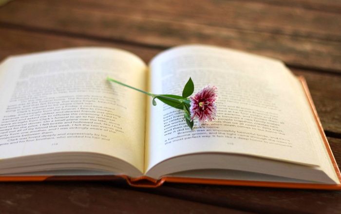 Với tài năng và sức mạnh vượt trội, Đăm Săn trở thành hình mẫu lý tưởng của người anh hùng trong sử thi Tây Nguyên. Đối đầu với Mtao Mxây, Đăm Săn không chỉ thể hiện sức mạnh thể xác mà còn chứng minh trí tuệ và sự quyết đoán trong chiến đấu. Những câu thách thức và hành động của Đăm Săn đã làm nổi bật khí chất anh hùng của chàng. Không chỉ chiến đấu để bảo vệ gia đình, Đăm Săn còn bảo vệ danh dự của cộng đồng và chiến đấu vì công lý. Sau chiến thắng, Đăm Săn không quên kêu gọi mọi người cùng xây dựng một cộng đồng thịnh vượng, chứng tỏ lòng nhân ái và trách nhiệm của một vị tù trưởng.