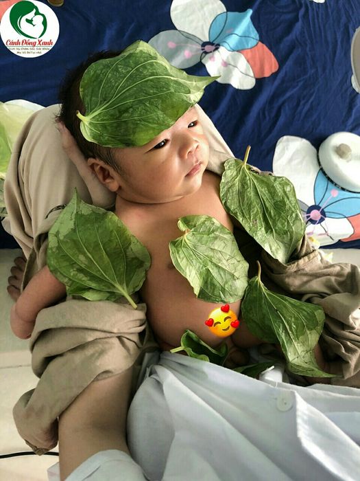 Cánh Đồng Xanh - Dịch Vụ Chăm Sóc Mẹ & Bé Tại Nhà hình ảnh 1