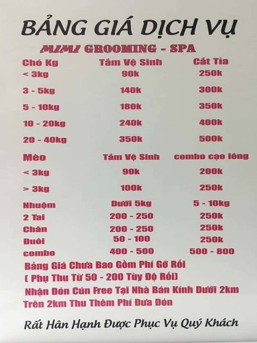 Địa chỉ spa chó mèo Quận 5 được đánh giá cao về chất lượng
