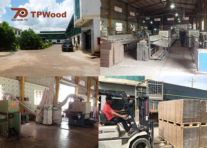 Hình ảnh nhà máy và sản phẩm tiêu biểu của TPWood