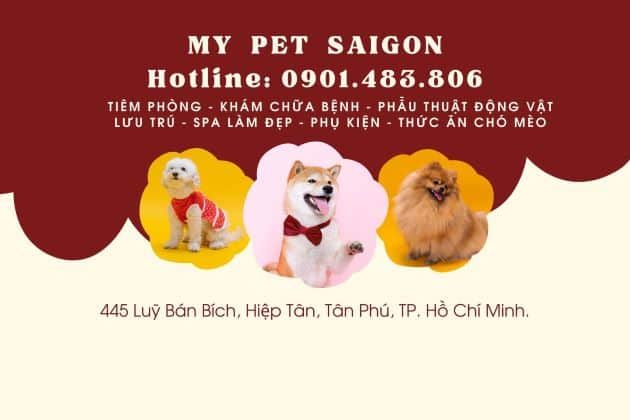 My Pet Sài Gòn