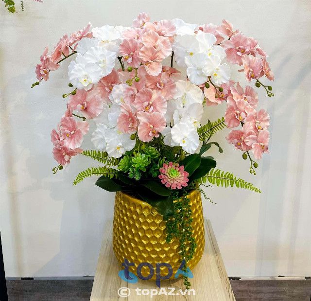 Cửa hàng bán lan hồ điệp uy tín tại quận 3