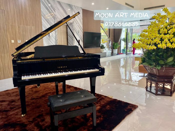 MOON ART MEDIA ảnh 2