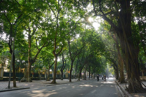 Ảnh minh họa (Nguồn internet) ảnh 1