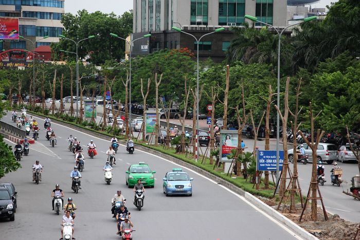 Ảnh minh họa (Nguồn internet) ảnh 1
