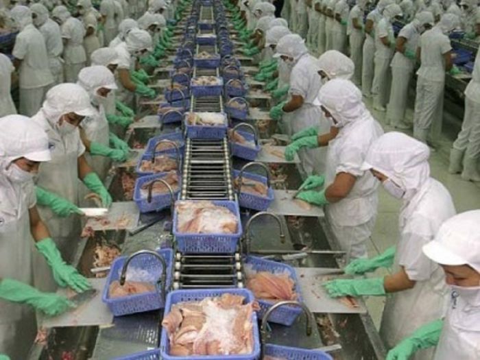 CÔNG TY CỔ PHẦN VĨNH HOÀN - Hình ảnh 1: Nhà máy chế biến hiện đại bậc nhất