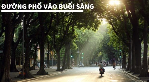 Ảnh minh họa (Nguồn internet) ảnh 1
