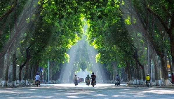 Ảnh minh họa (Nguồn internet) ảnh 1