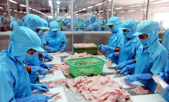 CÔNG TY CỔ PHẦN VĨNH HOÀN - Hình ảnh 2: Dây chuyền sản xuất tiên tiến