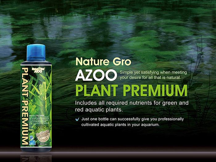 Hình ảnh phân nước AZOO Plant Premium góc cận cảnh