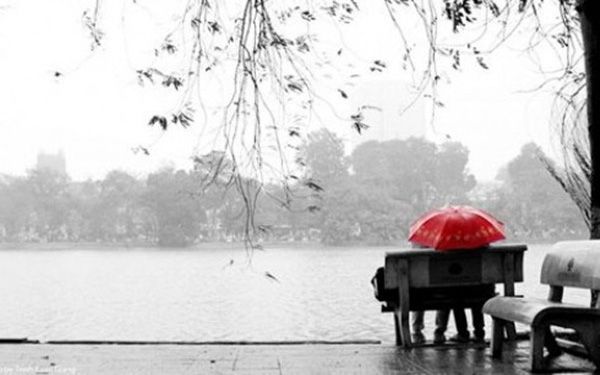 Hình ảnh minh họa đặc sắc (Nguồn internet) ảnh 1