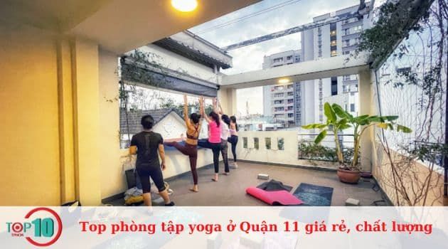 Seed Yoga & Workout Studio - Nơi ươm mầm sức khỏe và hạnh phúc