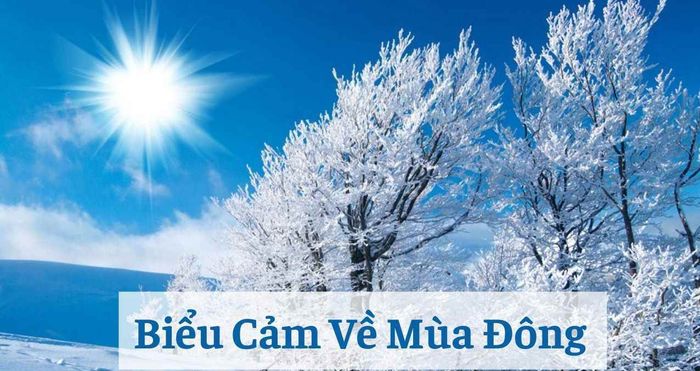 Hình ảnh minh họa sống động (Nguồn internet) ảnh 1