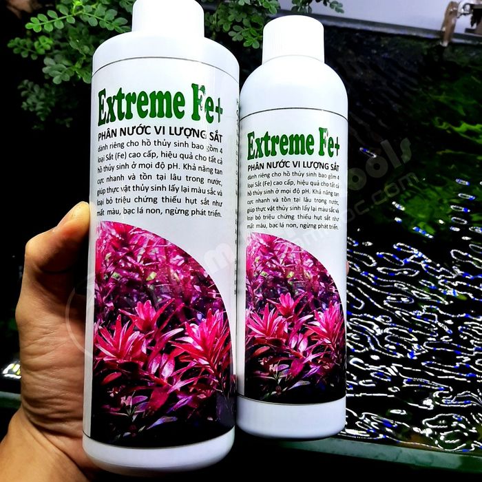 Hình ảnh phân vi lượng sắt Extreme Fe+ góc cận cảnh