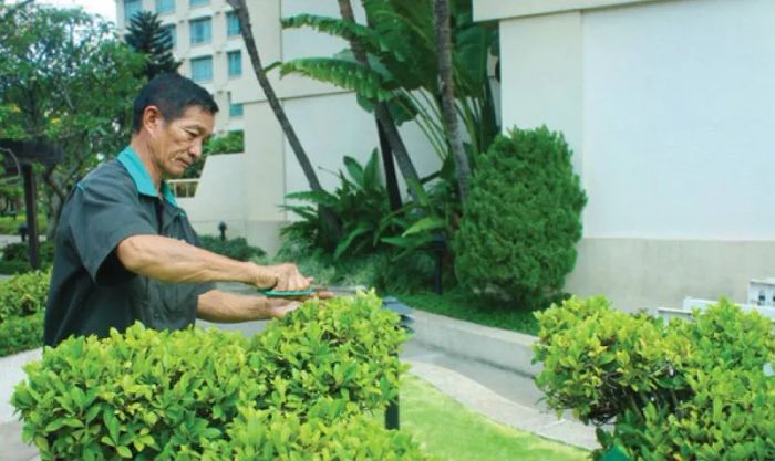 Hình ảnh minh họa (Nguồn: Internet)