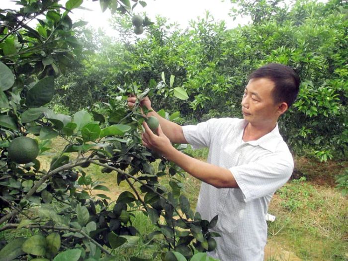 Hình ảnh minh họa (Nguồn: Internet)