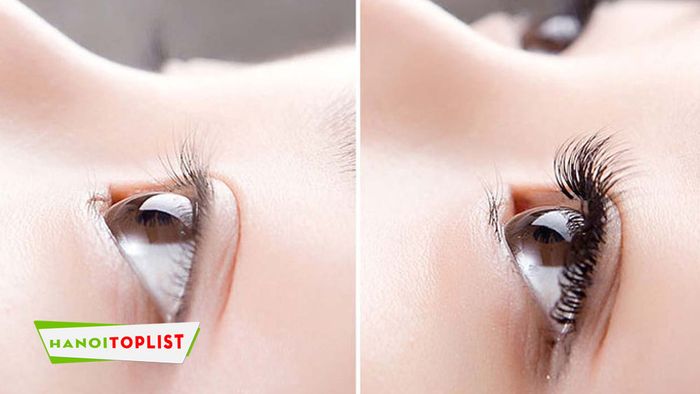 everly-nail-beauty-spa-dia-chi-noi-mi-uy-tin-o-ha-noi