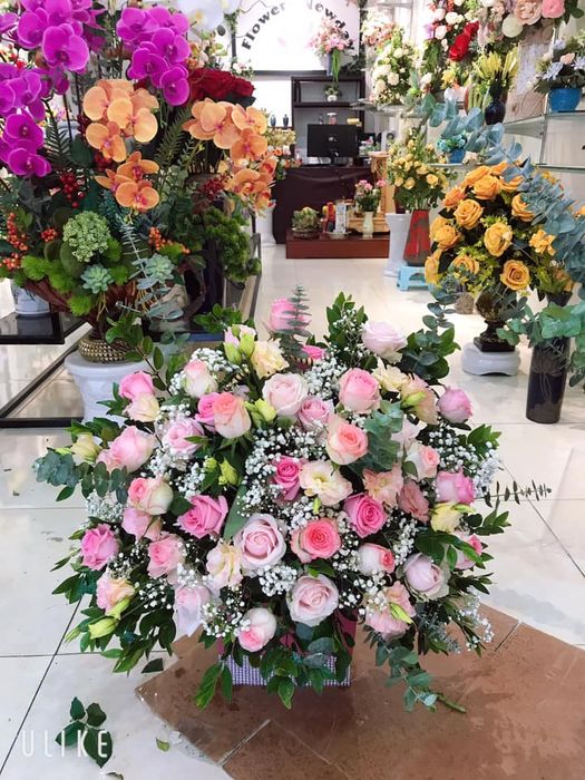 Flowers Newday hình ảnh 1