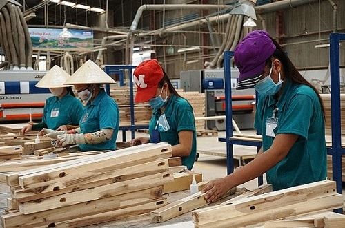 Tổng công ty Lâm nghiệp Việt Nam