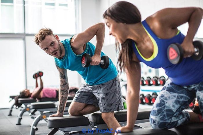 thực phẩm thể hình dành cho gymer