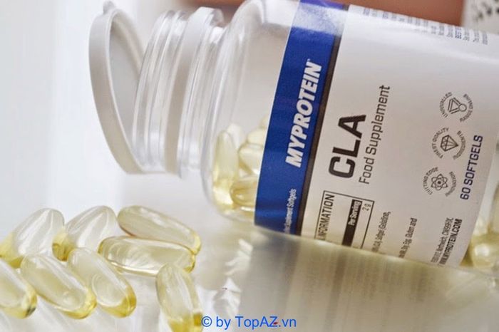 thực phẩm thể hình cao cấp cho gymer