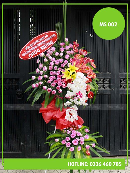 mau-hoa-khai-truong-doc-dao-2