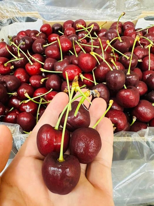 Super Fruit hình ảnh 3