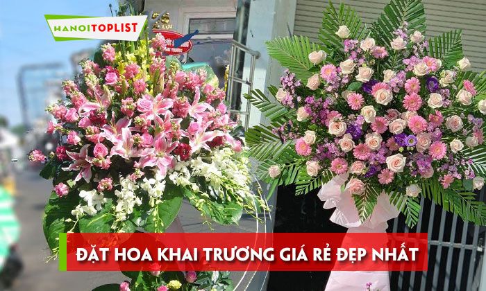 bo-suu-tap-hoa-khai-truong-2020