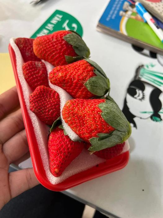 Super Fruit hình ảnh 2