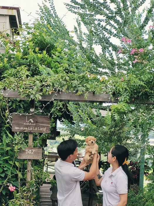 Góc sống ảo 'triệu like' tại La La Land Café