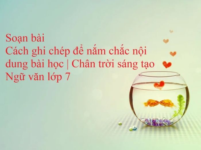 Hình ảnh minh họa sinh động (Nguồn: internet) ảnh 1