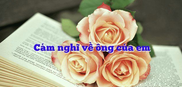 Hình ảnh minh họa ấm áp (Nguồn: Internet) ảnh 1