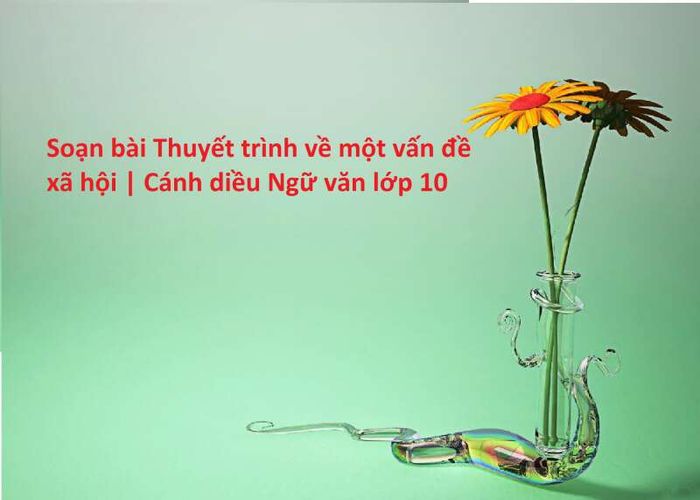 Hình ảnh minh họa sinh động (Nguồn: Internet)