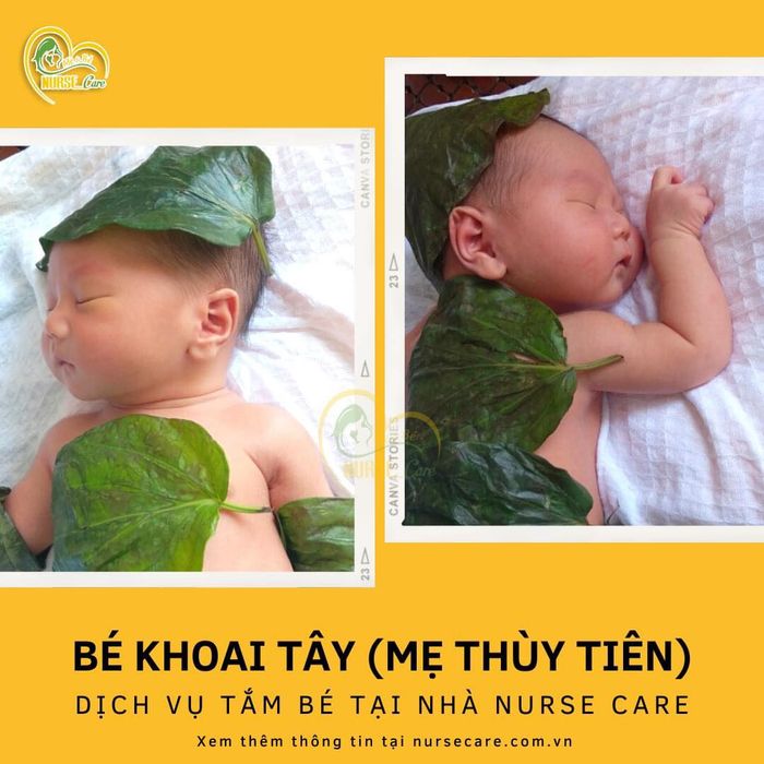 Hình ảnh dịch vụ chăm sóc của NurseCare (ảnh 2)