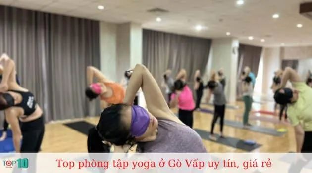 VYoga World - Hành trình khám phá bản thể