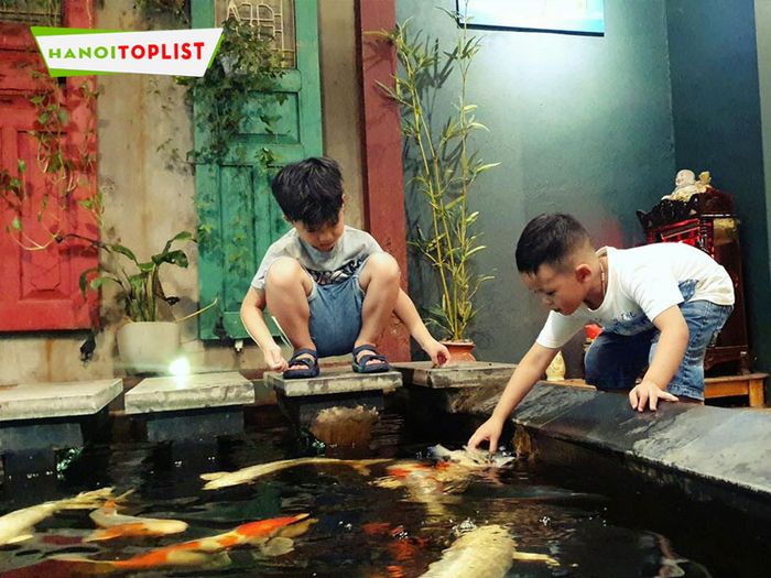 koi-cafe-showroom-Tripi