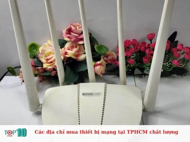 Hành trình khám phá những địa chỉ vàng cung cấp thiết bị mạng chất lượng tại TP.HCM